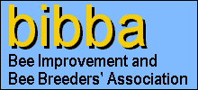 BIBBA acronym and name