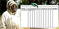 Recording assessment details