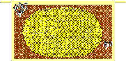 1400 Sealed Brood Cells