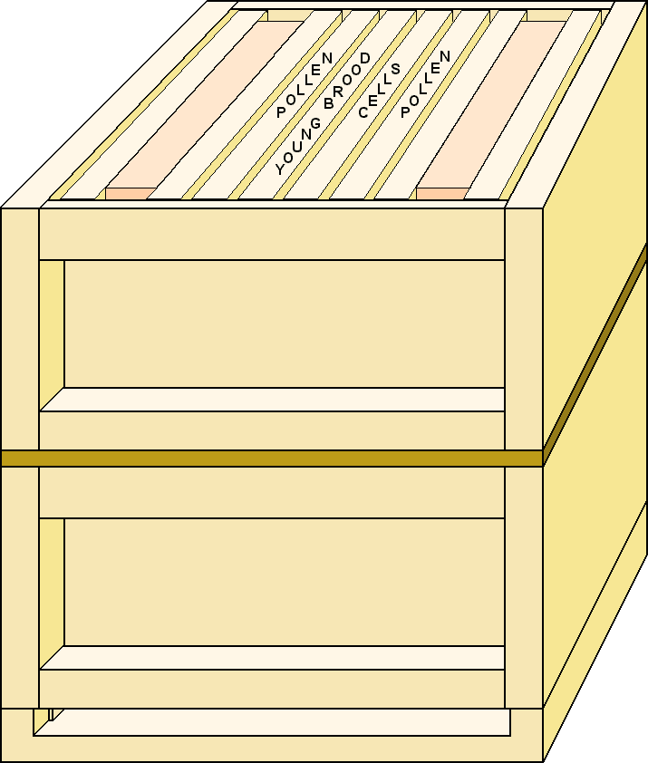 layout of upper box when using Ben Harden Method of raising queen cells