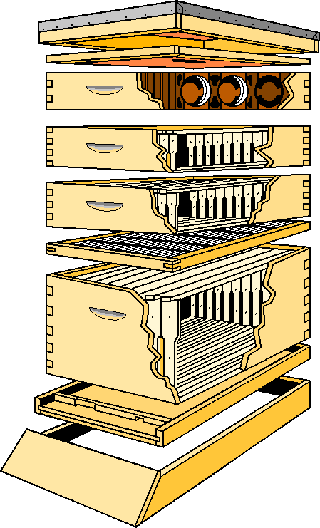 Modern version of Langstroth hive in exploded view