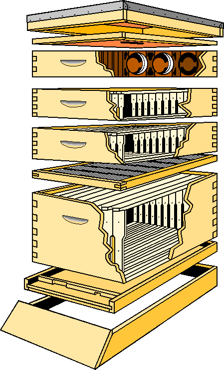 Langstroth Bee Hive Frame Dimensions