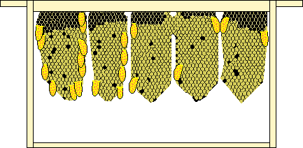 Miller frame with queencells