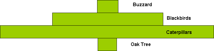 Pyramid Of Numbers And Biomass Difference