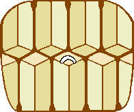 prepared comb for insertion into Perret Maisonneuve cup