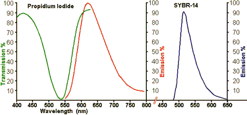 Propidium Iodide and SYBR-14 Stain Characteristics