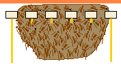 Frames showing clustering bees encompassing several starter strips