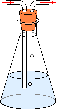 woulff's bottle single neck