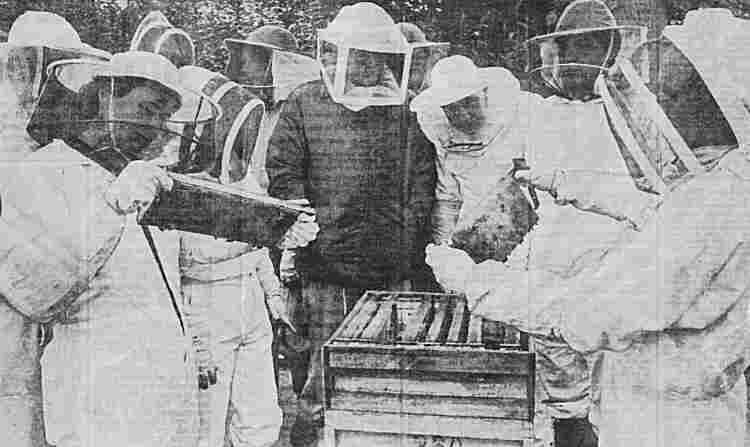 Press Cutting of De Montfort Gardens Bee Meeting... Original photo by Leicester Mercury