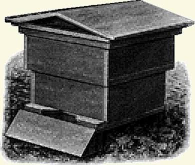 very old Dadant style hive