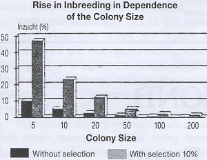 Fig 5 from original magazine article