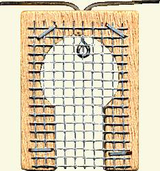 front view of Polish Queen Introduction Cage