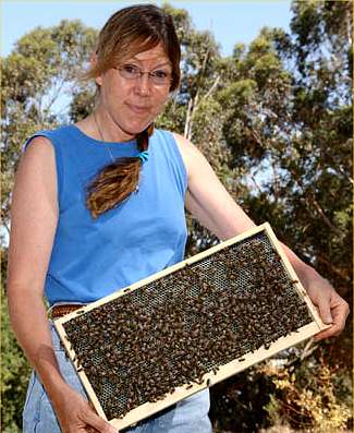 Sue Cobey and her New World Carniolans