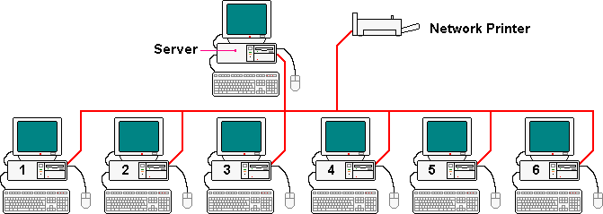 Local Area Network interconnections